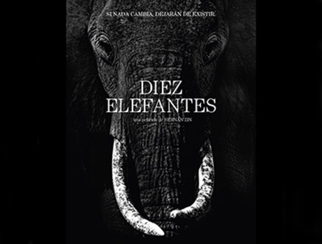 Diez Elefantes